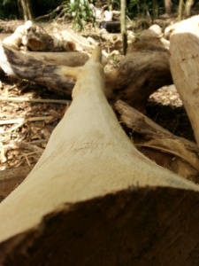 20140424_140555