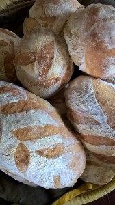 Vertical photo of Nidulari breads and sweets on display