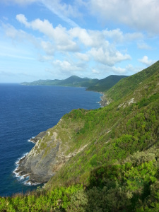 wpid-20140523_163400.jpg