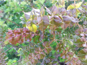 wpid-20140523_164257.jpg