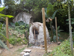 DSCN0698