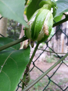 wpid-20140603_100330.jpg
