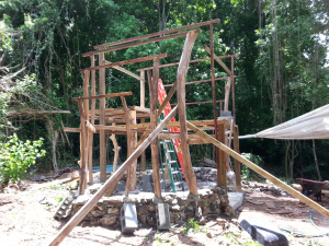 wpid-20140612_105037.jpg