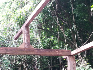 wpid-20140616_160208.jpg