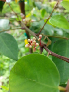 wpid-20140626_094556.jpg