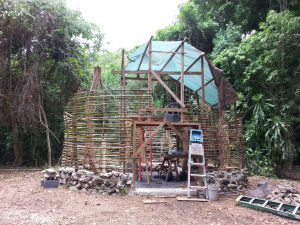 wpid-20140707_115559.jpg