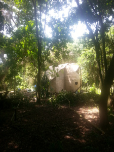 wpid-20141004_110728.jpg