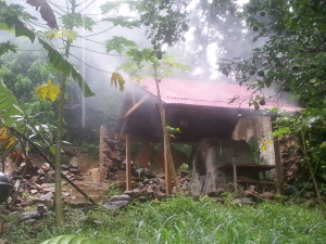 wpid-20141105_083916.jpg