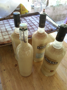 wpid-20141221_135140.jpg