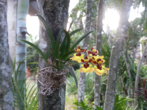 wpid-20150120_165216.jpg