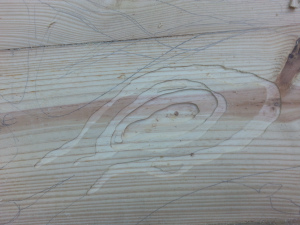 First part of the tree.