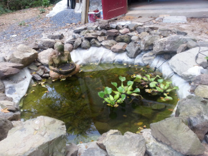 wpid-20150322_163304.jpg