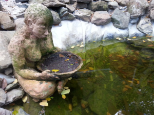 wpid-20150322_163502.jpg