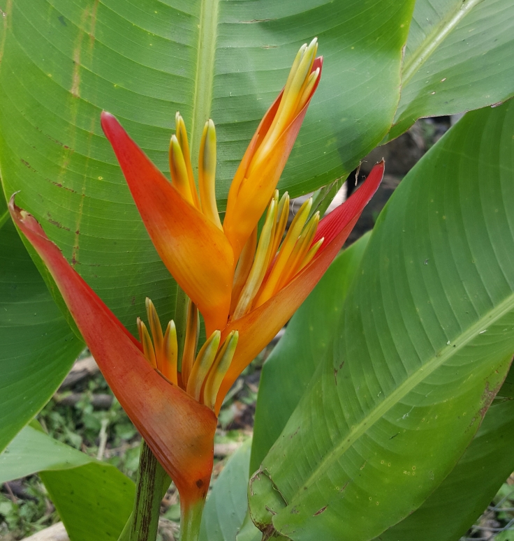20180518_125159_001