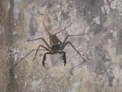 480361_10201479944584177_784763398_n