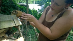 WP_20141006_14_09_39_Pro