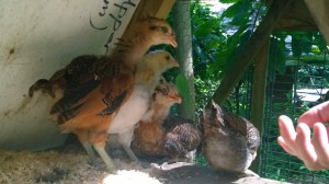 WP_20141006_14_10_22_Pro