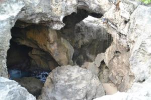 10923222_1097129710302199_1586442937821741723_n