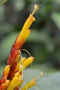 11209627_1097129416968895_8809827399623839659_n