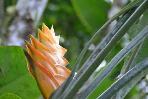 988537_1097129496968887_1372036252543675809_n