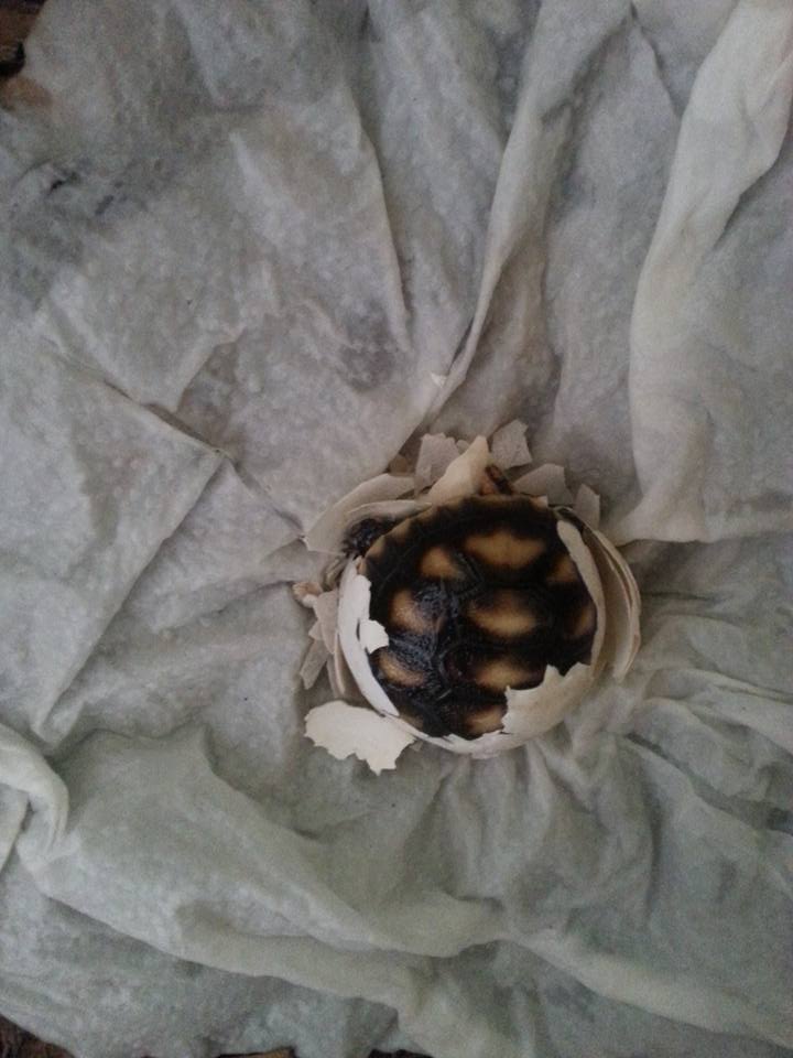 22602_1124375434244293_2356249400490380021_n