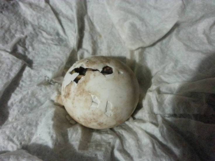 63984_1124097700938733_3578493197620675771_n