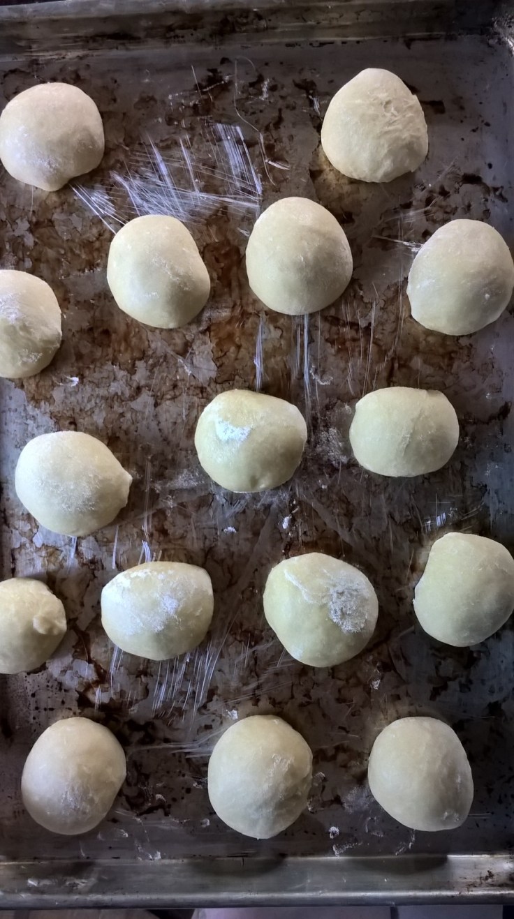 WP_20160127_08_49_05_Pro