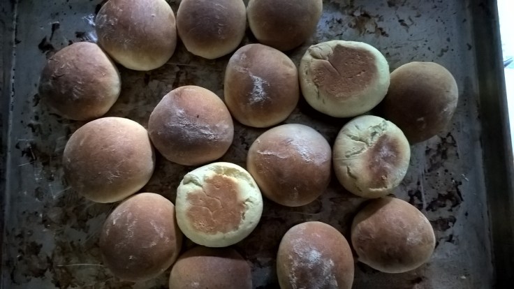 WP_20160127_09_11_20_Pro