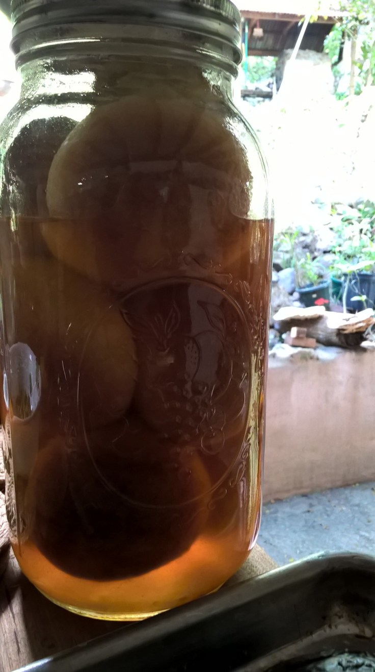 WP_20160127_09_38_22_Pro