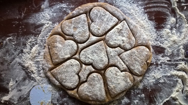 WP_20160210_09_35_48_Pro