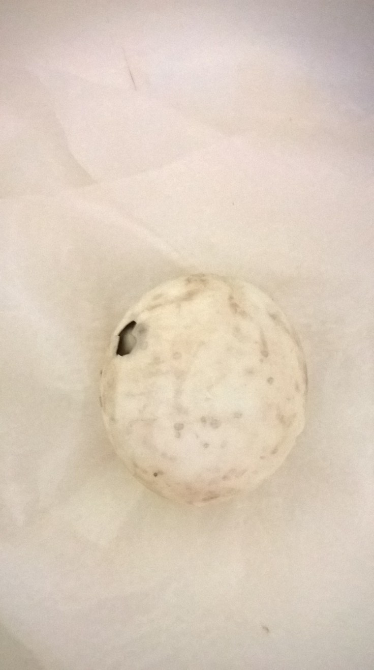 WP_20160314_12_17_06_Pro