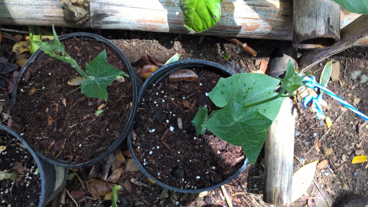 WP_20160314_12_40_56_Pro