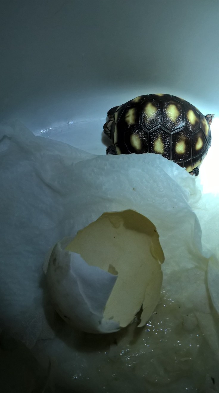 WP_20160317_21_18_51_Pro