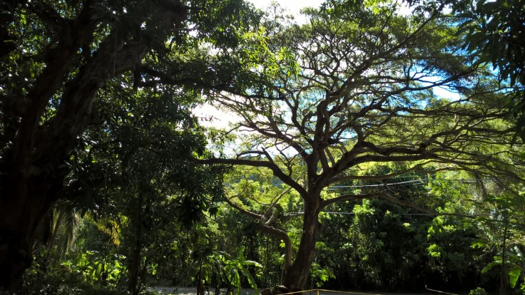 WP_20160319_09_59_08_Pro