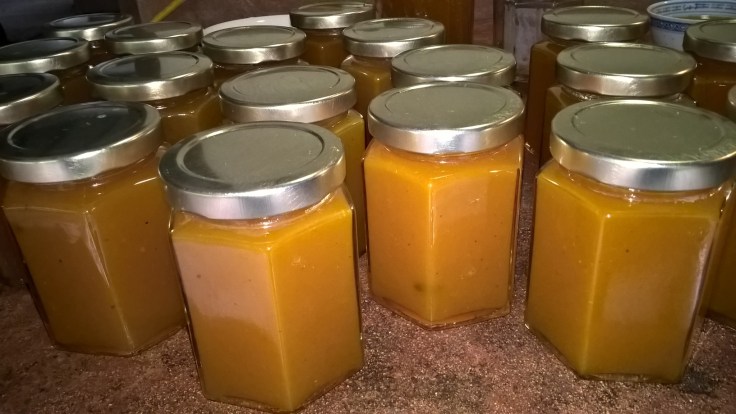 WP_20160602_16_44_43_Pro