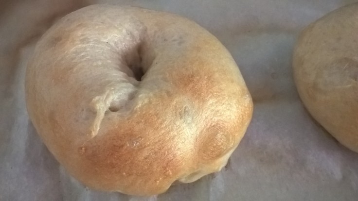 WP_20160625_13_39_15_Pro