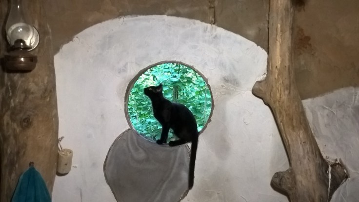 WP_20160710_07_40_23_Pro