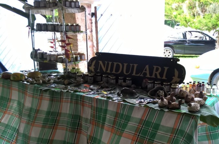 WP_20160710_11_10_28_Pro