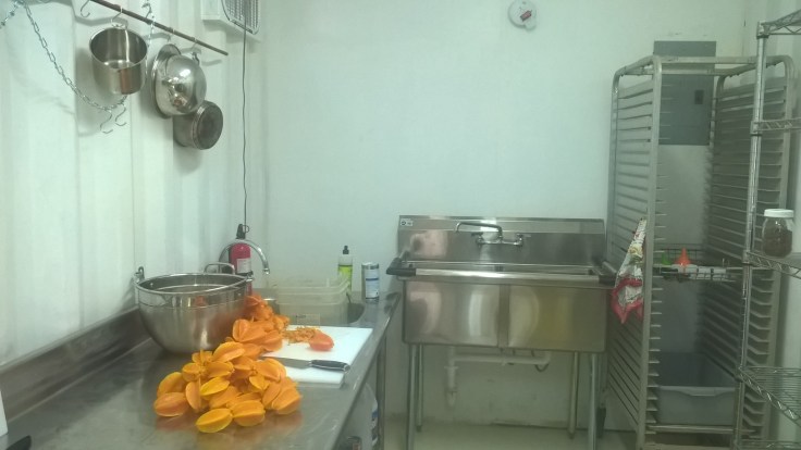 WP_20160726_08_53_02_Pro