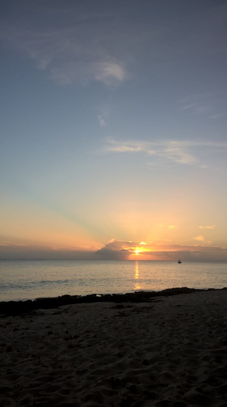 WP_20170609_18_46_13_Pro