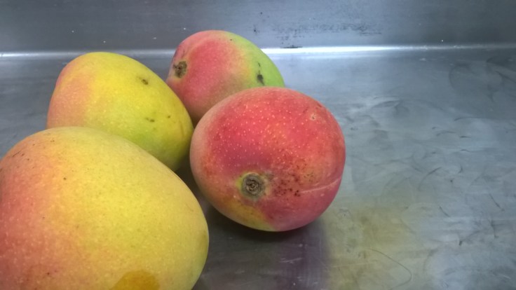 WP_20170613_11_18_26_Pro